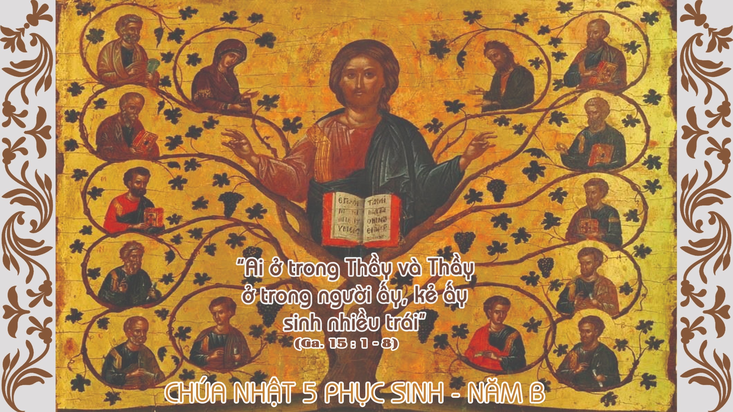 Chúa nhật 5 Phục Sinh - năm B