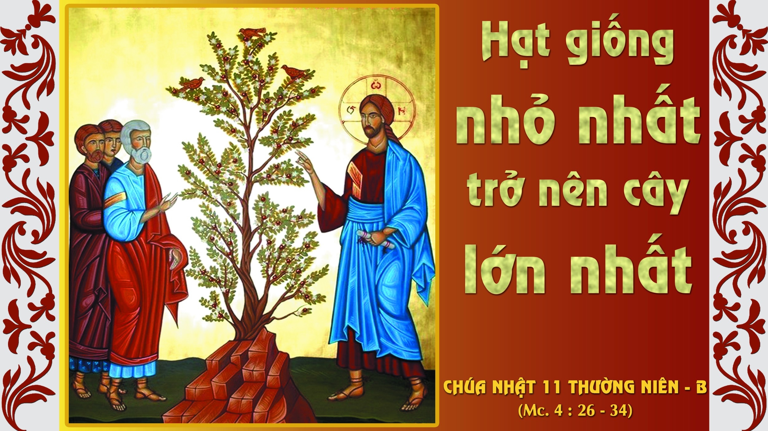 Chúa nhật 11 thường niên - năm B