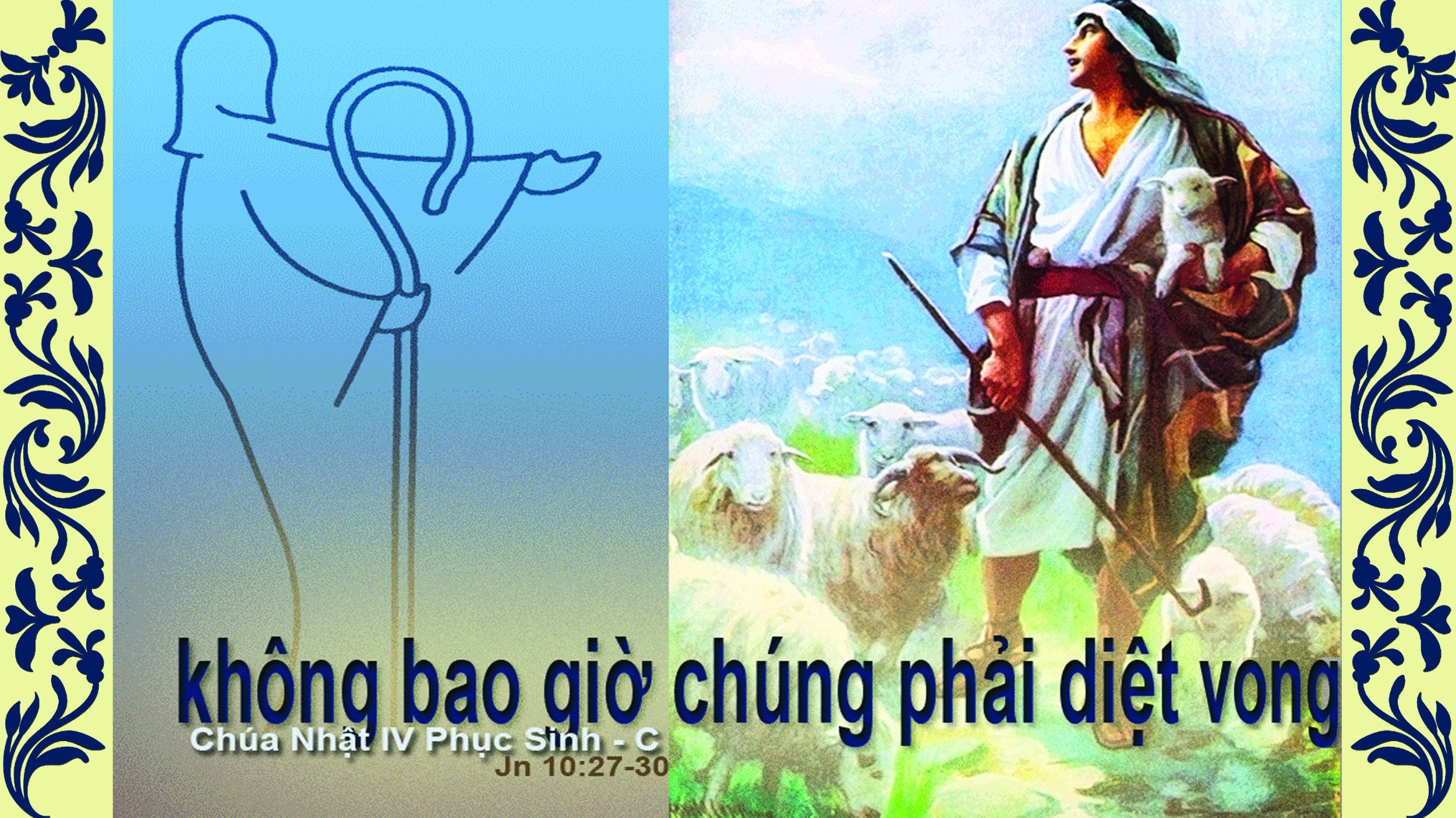 Chúa nhật 4 Phục Sinh - năm C