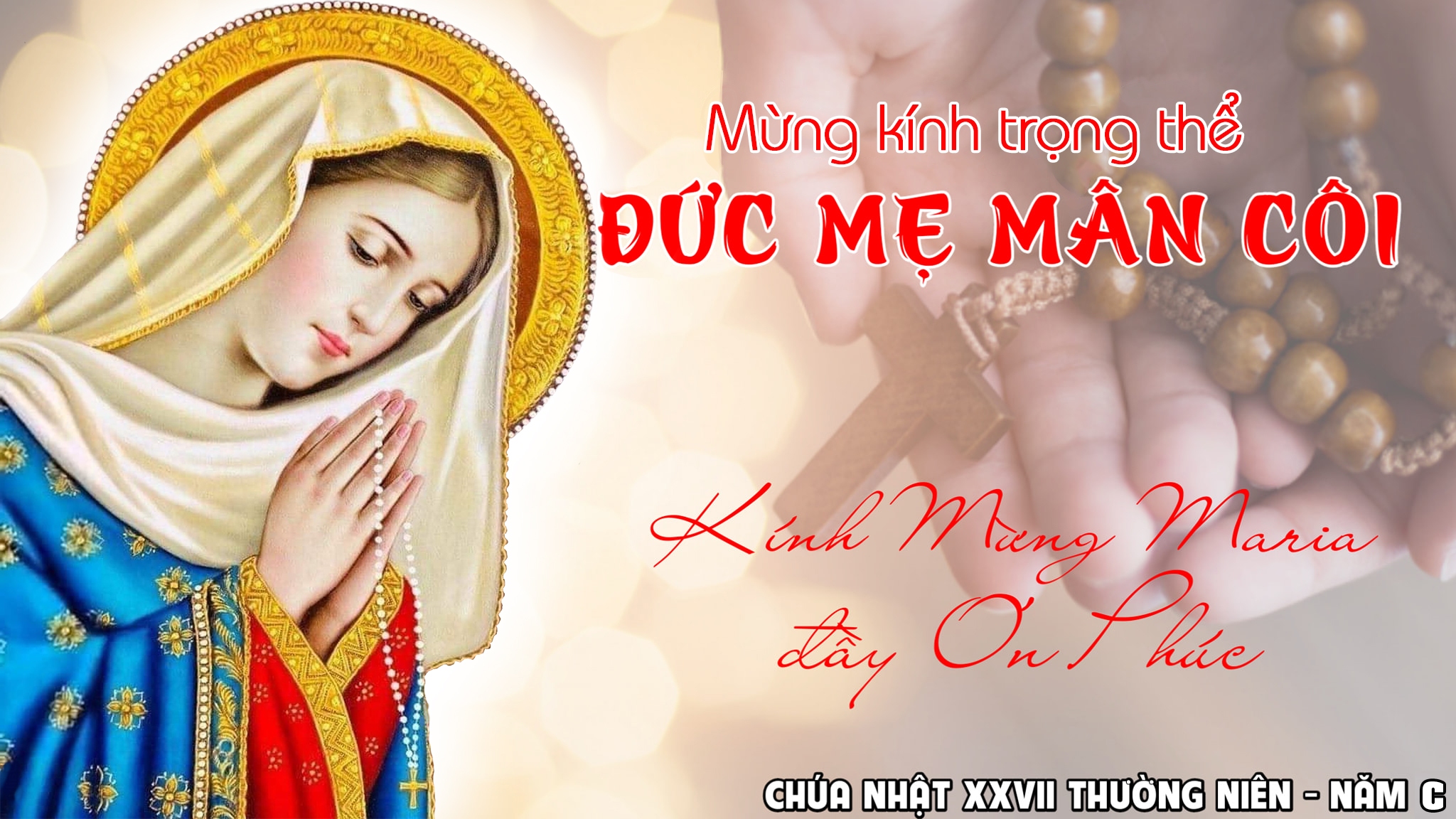 Chúa nhật 27 thường niên - năm C (Đức Mẹ Mân Côi) (2)