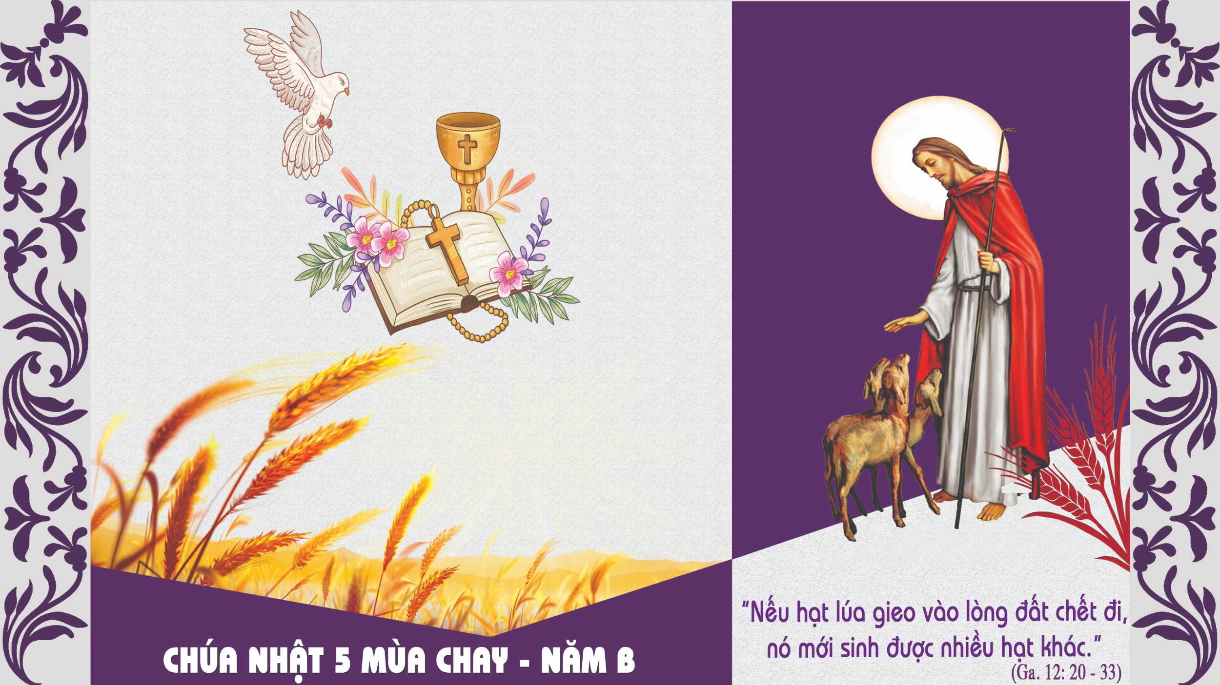 Chúa nhật 5 mùa Chay - năm B